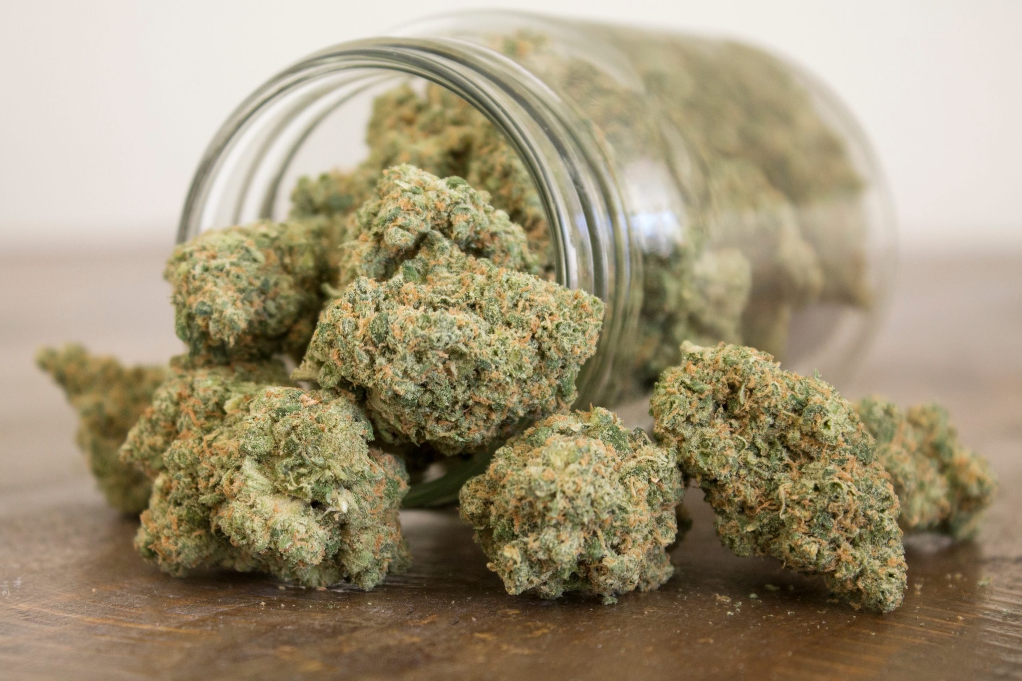 Cannabis Sativa: Wie unterscheiden sich die Seedbanks?