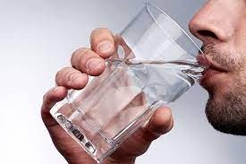 Abgestimmtes Wasser für Haustiere: Ihr Wohlbefinden steigern