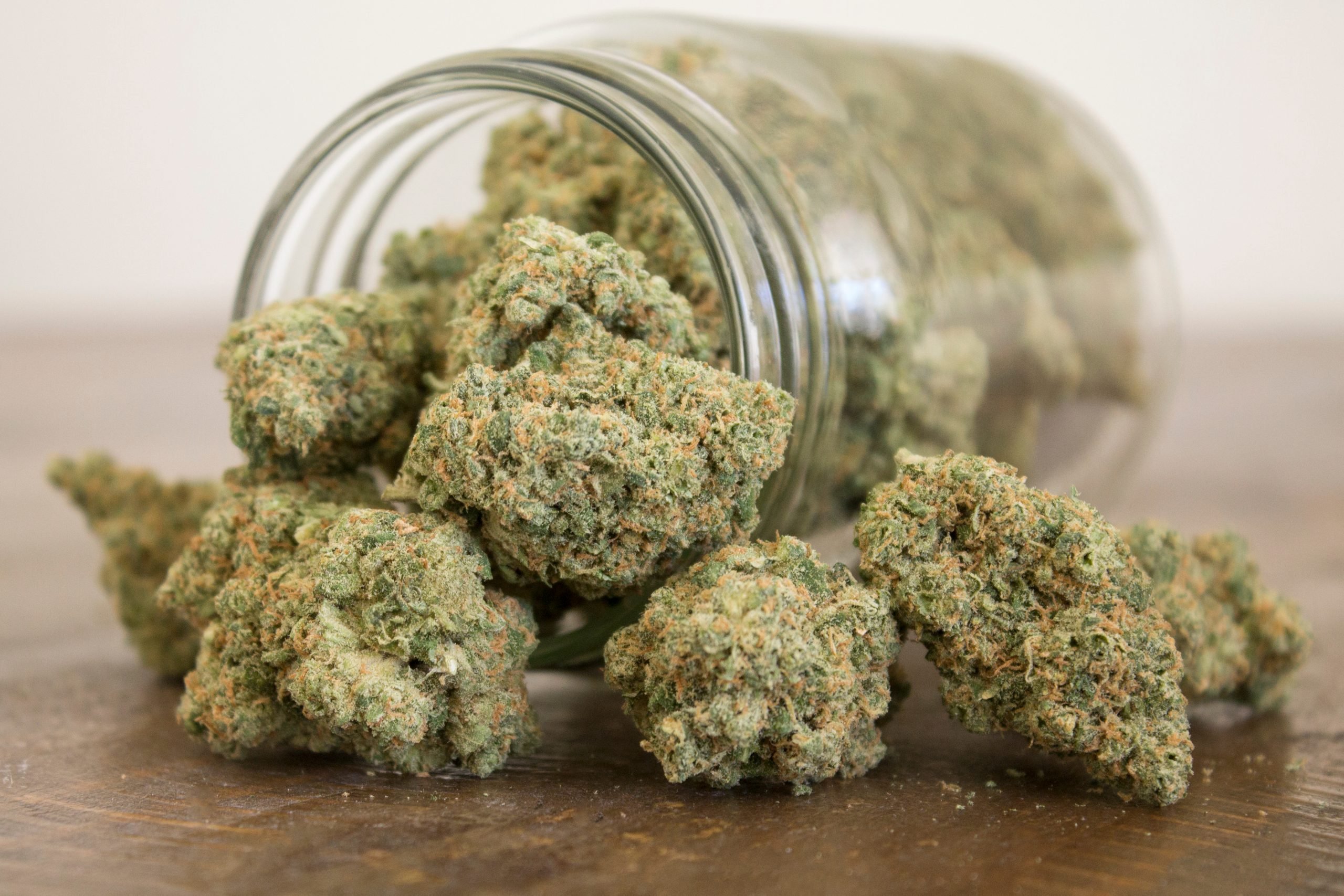 Cannabis Sativa: Wie unterscheiden sich die Seedbanks?