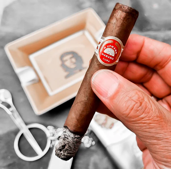 Willkommen in der Welt der Zigarren: C-Cigars lädt ein