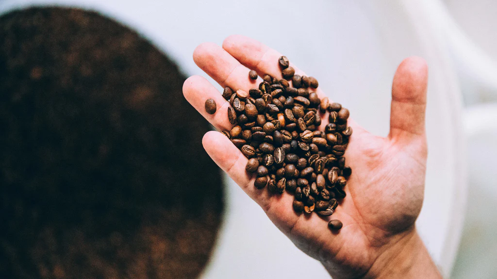Vollmundiger Geschmack: Espressobohnen für Ihren Kaffeegenuss
