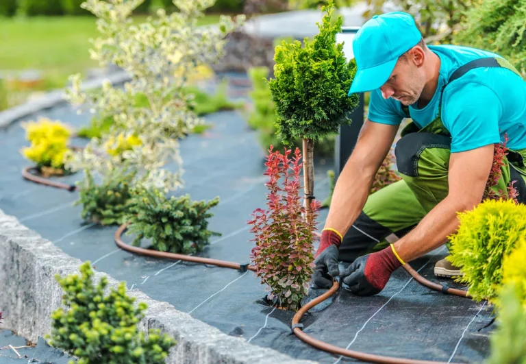 The-Best-Landscaping-Companies-Option